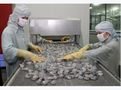 Asia an emerging market of Vietnams shrimp industry