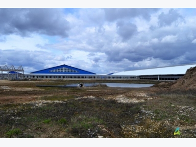 Is there a future for private Russian dairy farms?