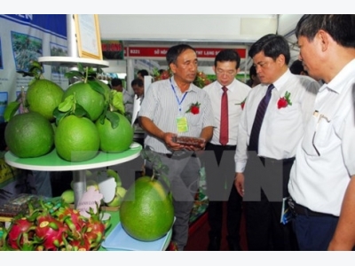 Vietnam largest agriculture expo opens in HCM City