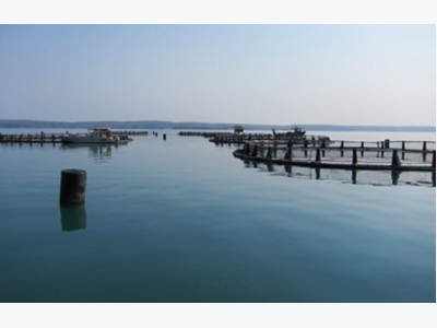Abu Dhabi hires BMT to explore potential of three aquaculture sites in Arabian Gulf