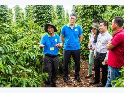 Bayer offers innovative solutions to improve the efficiency of coffee production in Vietnam