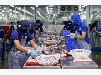 Việt Nam tra fish exporters protest US duties