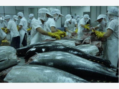 Tuna exports to emerging markets on the rise