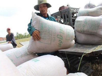 Traders mull partnership to sell Vietnamese rice in Chinese supermarkets