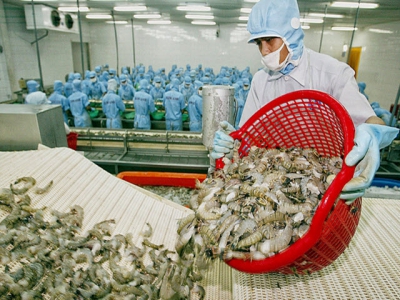 VN shrimp exporters in tough situation because of SIMP
