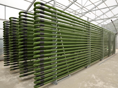 Microalgae production technologies for hatcheries