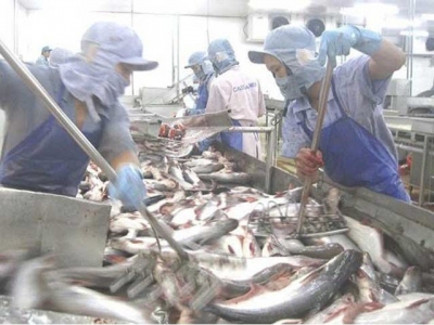 Tra fish exports show signs of recovery