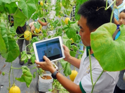 Vietnam should apply new tech to agriculture: experts