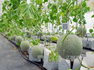 New policy to lure investment into agricultural and rural development