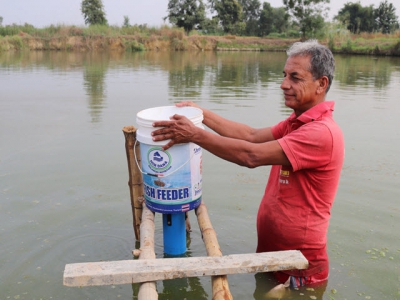Testing low-cost demand carp feeders in Nepal