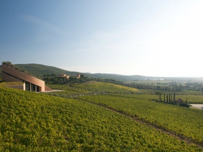 Natural crop resilience to pests, diseases and environmental challenges