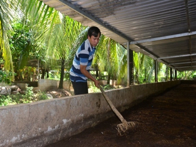 Nuôi trùn quế lãi khủng