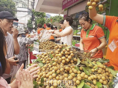 Export to China: change is necessary to be sustainable