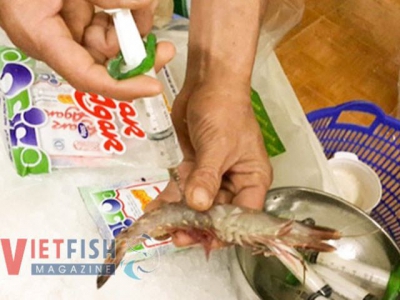 Prevent and handle cases involved in chemical contaminants injected in shrimps