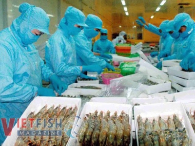 Build a value chain of agricultural products in large markets
