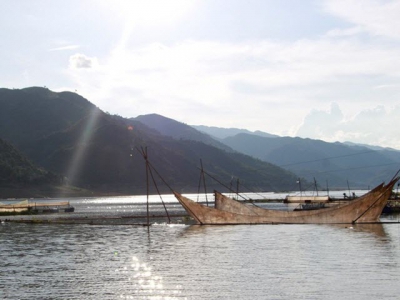 Nuôi thủy sản ở Tường Phong, mỗi hộ thu cả trăm triệu đồng mỗi năm