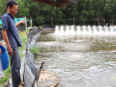 Thu bạc tỷ từ nuôi thủy sản nước lợ tại huyện Nhơn Trạch tỉnh Đồng Nai