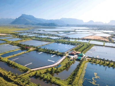 Land Based Sustainable Aquaculture Strategy - Part 2