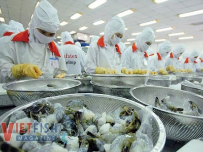 Seafood exports reached nearly 4 billion USD in the first six months