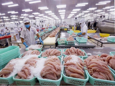 Tra fish prices hit 10-year low