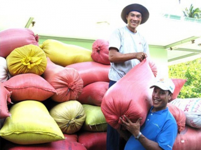 Rice production in 2020: farmers enjoy good harvest, high prices