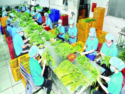 Agricultural exports to Thailand market surge