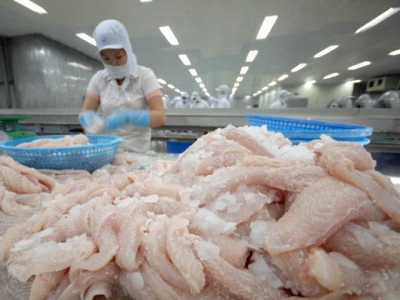 Catfish exports to UK remain high despite COVID-19 pandemic