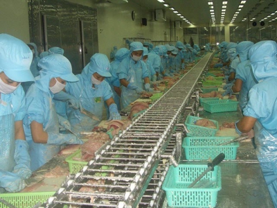 Exporters worried as catfish exports to major markets drop