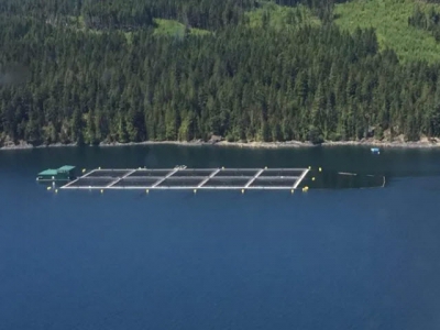 eDNA to tackle flesh-eating salmon parasite