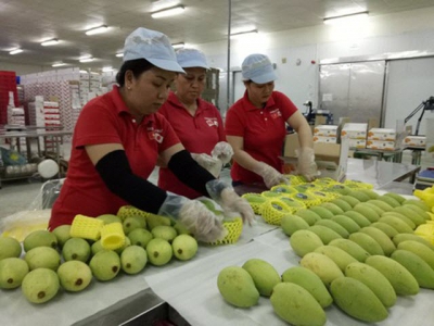 US increases Vietnamese fruit imports