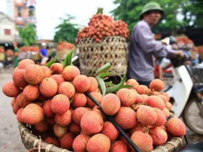 Fruit, vegetable exports enjoy swift recovery after COVID-19 downturn