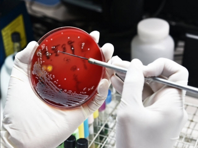 Biến thực khuẩn thành liệu pháp kháng sinh