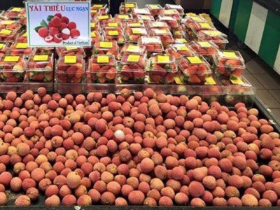Vietnams fruit growers enjoy large export volumes