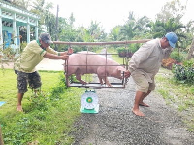 Livestock farming faces numerous difficulties