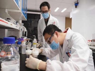 Singapore nghiên cứu ra cách sản xuất phân urê xanh- sạch- rẻ
