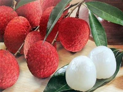 Vietnamese lychee ranks third in market share in Japan