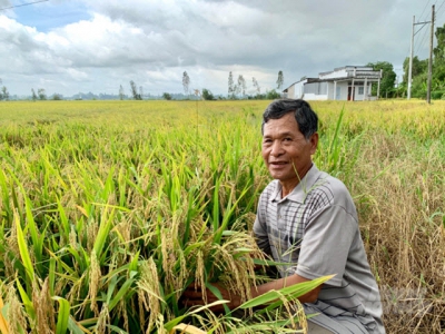 Agriculture production conversion in drought and saline areas