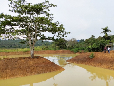 Coffee farmers supported in sustainable farming