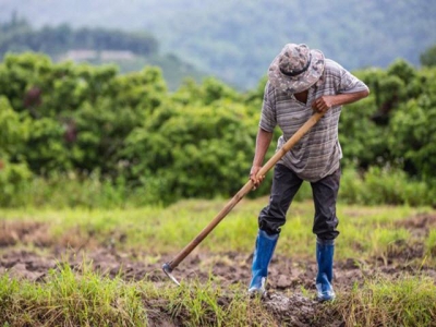 Biến đổi khí hậu là thách thức lớn nhất đối với nông dân khu vực Đông Nam Á