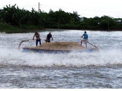 Từng Bước Chấn Chỉnh Quy Hoạch Vùng Nuôi Cá Tra Ở Đồng Tháp