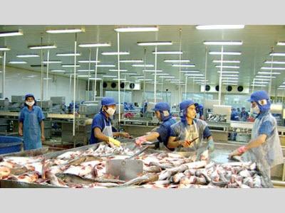 Cần Sớm Có Nghị Định Để Gỡ Khó Cho Ngành Cá Tra