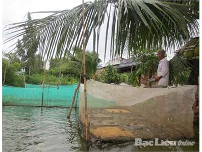 Thoát Nghèo Nhờ Nuôi Ếch Thái Trong Lồng