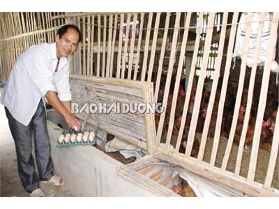 Nhân Rộng Các Mô Hình Khuyến Nông