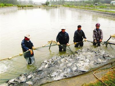 Lời Giải Cho Bài Toán Vốn Đối Ứng Của Ngư Dân