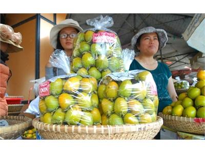 Giá Hồng Giòn Chạm Đáy