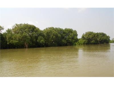 Bình Định Sẽ Triển Mô Hình Khuyến Ngư Nuôi Hàu Thương Phẩm Tại Khu Vực Sinh Thái Cồn Chim