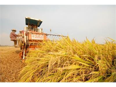 Tìm Đột Phá Kinh Tế Hợp Tác