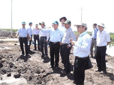 Liên Kết Tiêu Thụ Lúa
