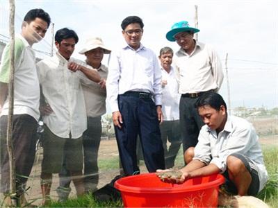 Bến Tre Phòng Bệnh Tôm Nuôi Cuối Năm 2014