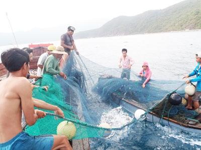 Mùa Đăng Bội Thu